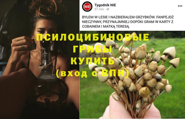 мдма Лиски