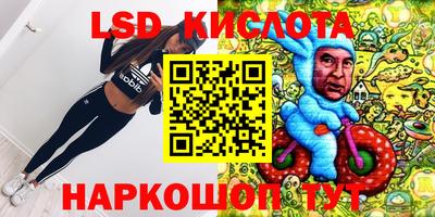 прущие крисы Аргун