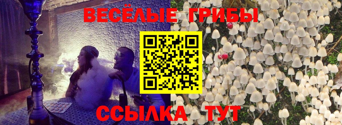 Псилоцибиновые грибы Magic Shrooms Дзержинск